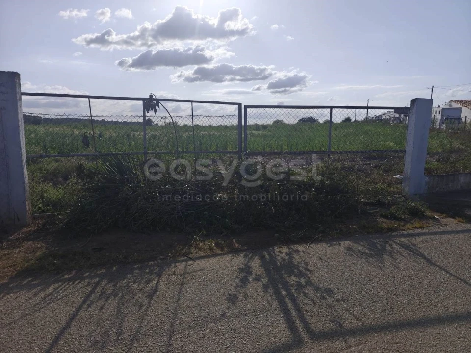 Terreno Agricola ou Rústico para Venda em São João de Negrilhos Foto 1