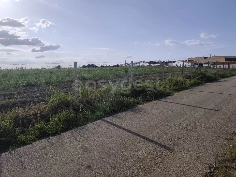 Terreno Agricola ou Rústico para Venda em São João de Negrilhos Foto 2