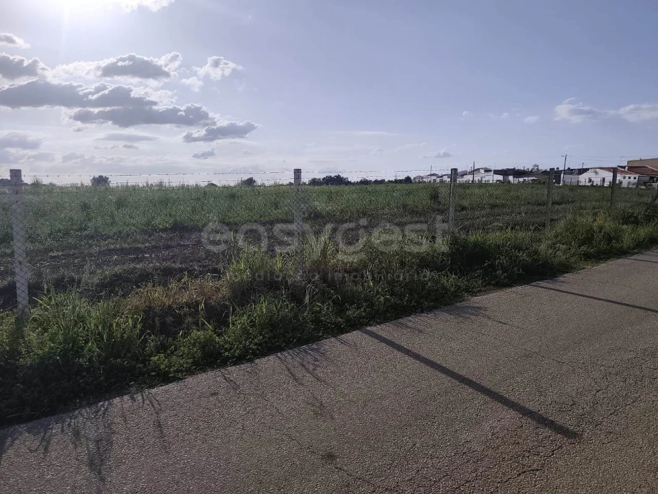 Terreno Agricola ou Rústico para Venda em São João de Negrilhos Foto 3