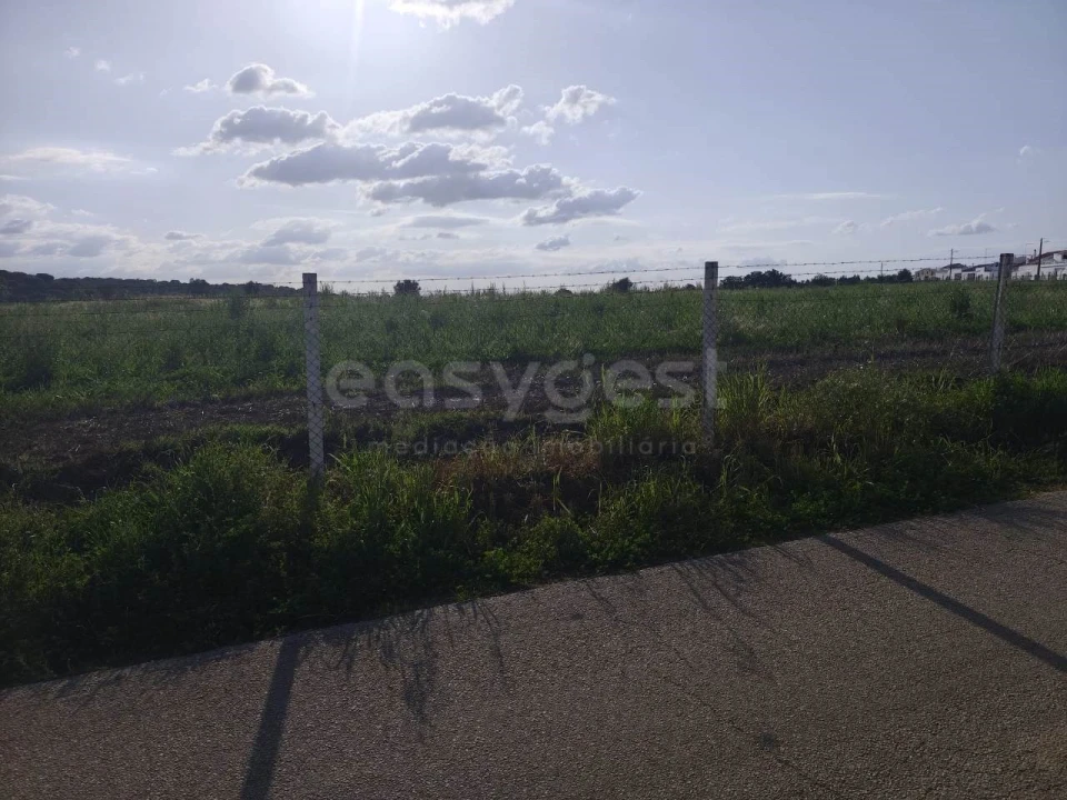 Terreno Agricola ou Rústico para Venda em São João de Negrilhos Foto 4
