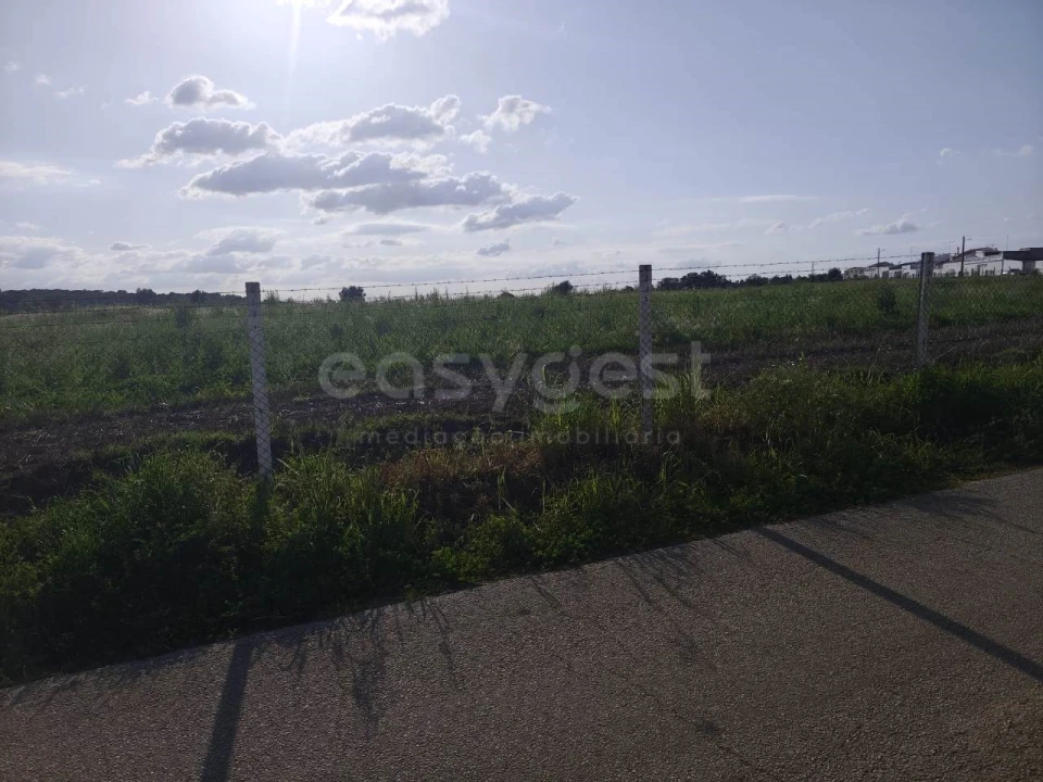Terreno Agricola ou Rústico para Venda em São João de Negrilhos Foto 5