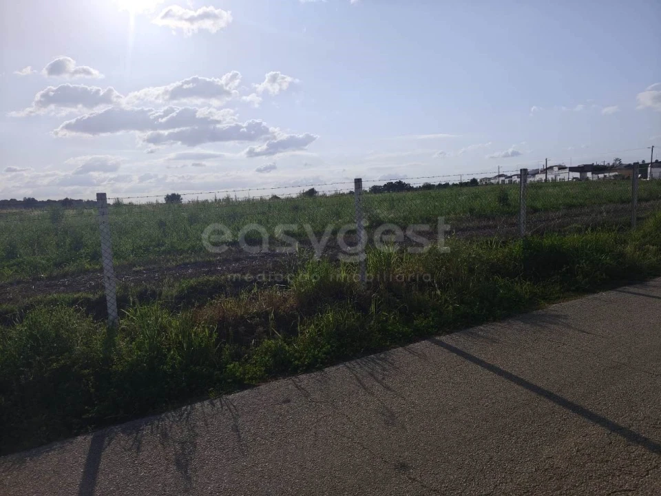Terreno Agricola ou Rústico para Venda em São João de Negrilhos Foto 6