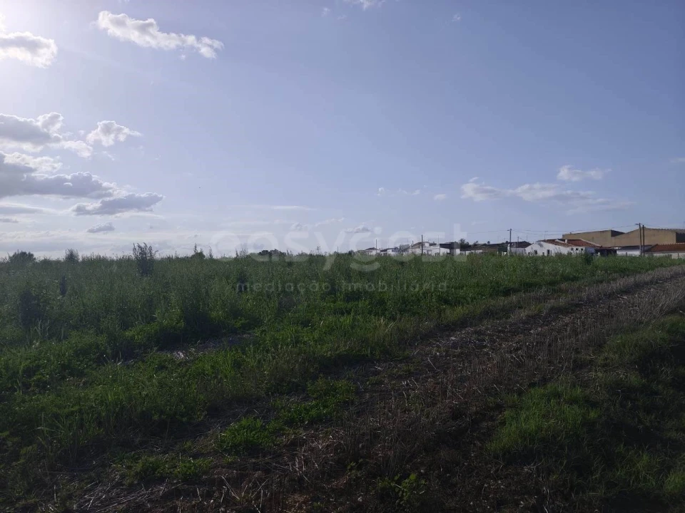 Terreno Agricola ou Rústico para Venda em São João de Negrilhos Foto 10