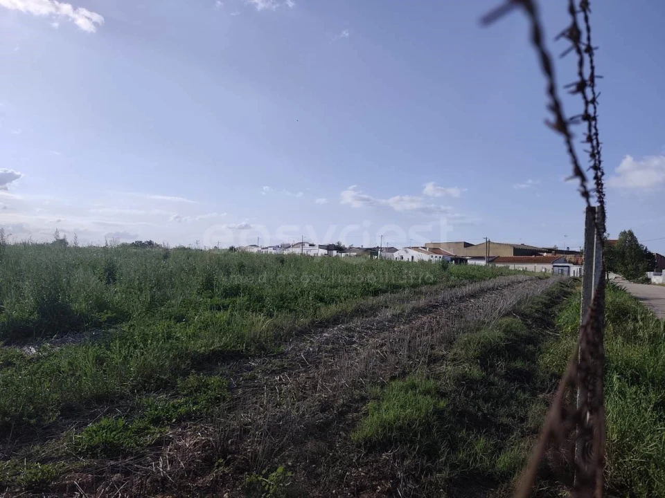 Terreno Agricola ou Rústico para Venda em São João de Negrilhos Foto 11
