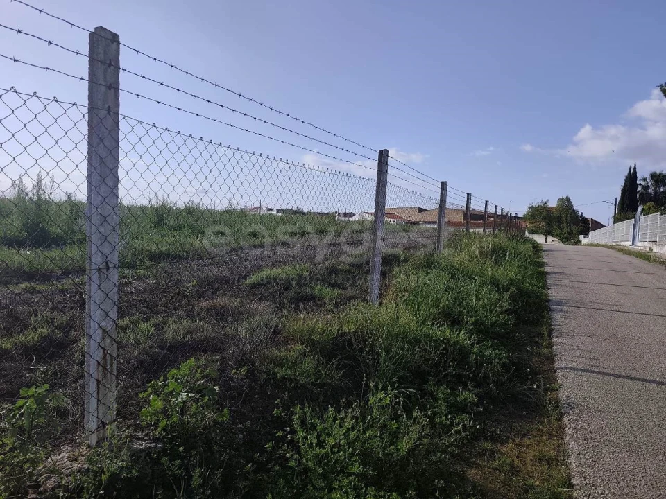 Terreno Agricola ou Rústico para Venda em São João de Negrilhos Foto 12