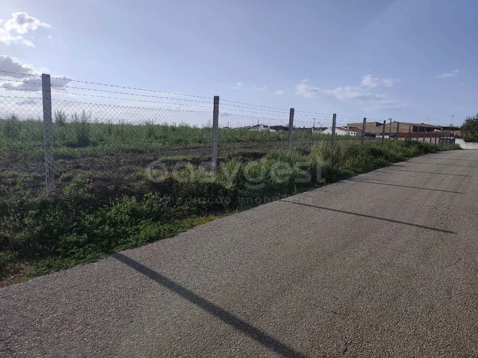 Terreno Agricola ou Rústico para Venda em São João de Negrilhos Foto 14