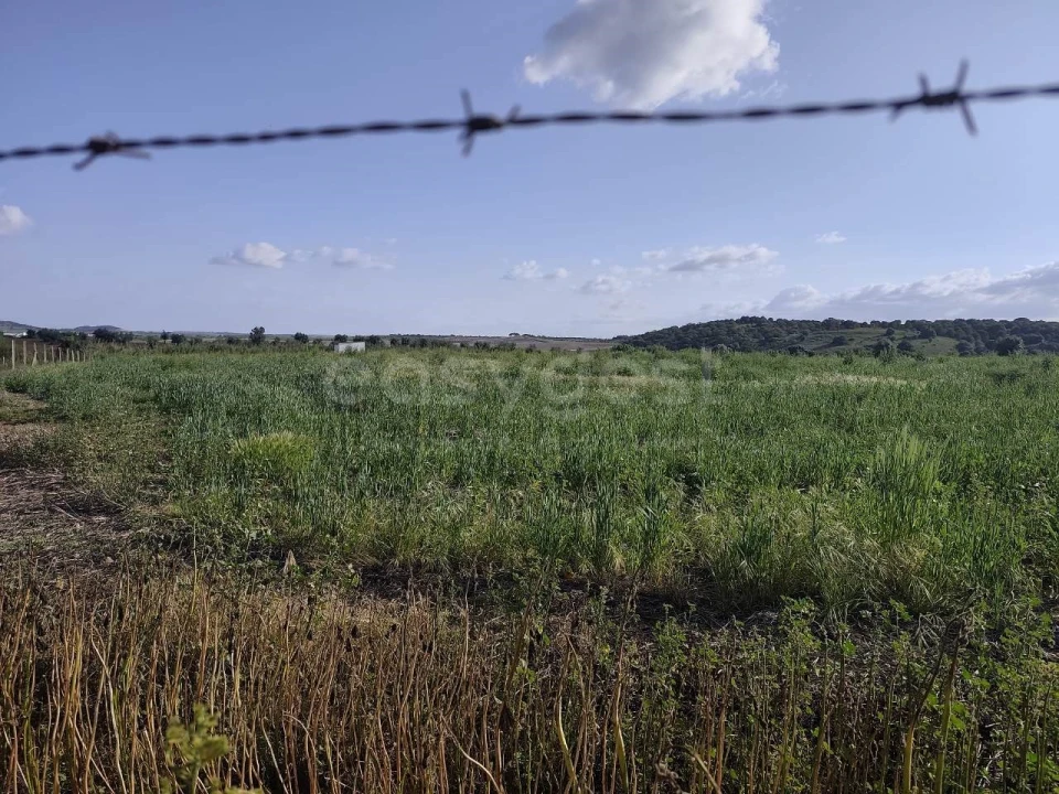 Terreno Agricola ou Rústico para Venda em São João de Negrilhos Foto 16