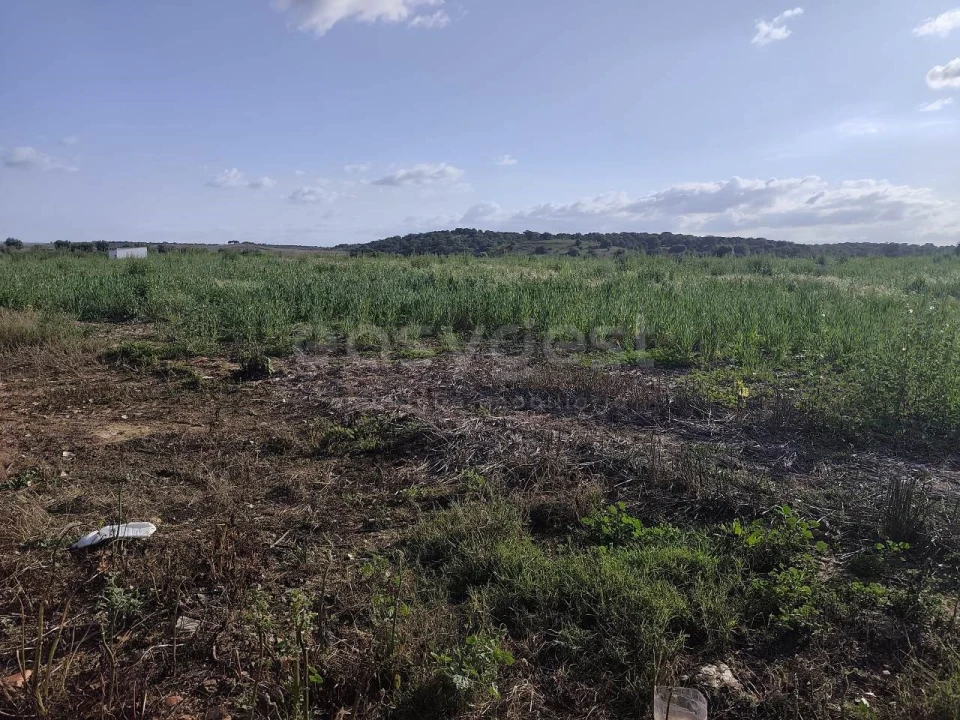 Terreno Agricola ou Rústico para Venda em São João de Negrilhos Foto 18