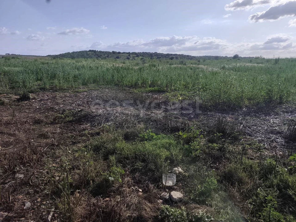 Terreno Agricola ou Rústico para Venda em São João de Negrilhos Foto 20