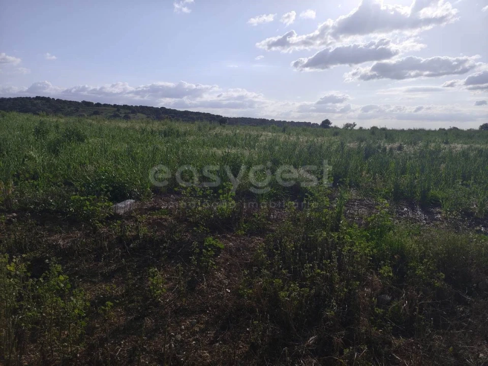 Terreno Agricola ou Rústico para Venda em São João de Negrilhos Foto 21