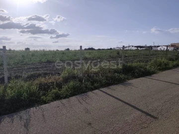 Terreno Agricola ou Rústico para Venda em São João de Negrilhos