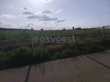 Terreno Agricola ou Rústico para Venda em São João de Negrilhos