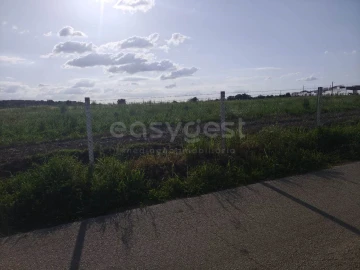 Terreno Agricola ou Rústico para Venda em São João de Negrilhos