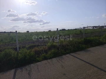 Terreno Agricola ou Rústico para Venda em São João de Negrilhos