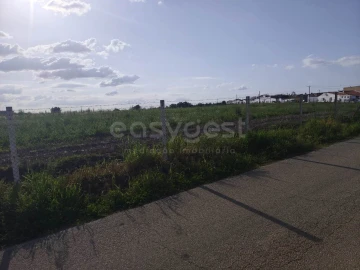 Terreno Agricola ou Rústico para Venda em São João de Negrilhos