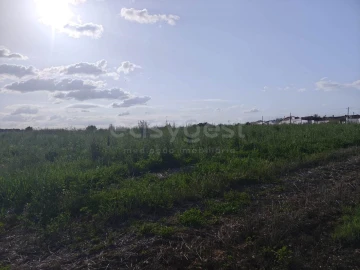 Terreno Agricola ou Rústico para Venda em São João de Negrilhos