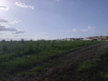 Terreno Agricola ou Rústico para Venda em São João de Negrilhos