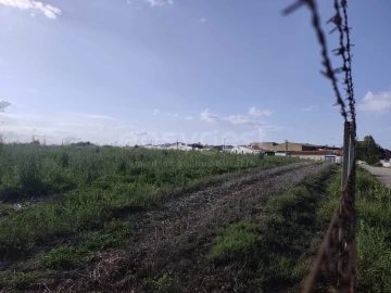 Terreno Agricola ou Rústico para Venda em São João de Negrilhos
