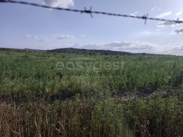 Terreno Agricola ou Rústico para Venda em São João de Negrilhos