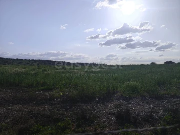 Terreno Agricola ou Rústico para Venda em São João de Negrilhos