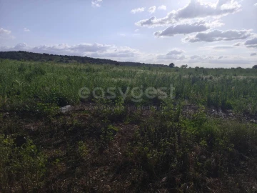 Terreno Agricola ou Rústico para Venda em São João de Negrilhos