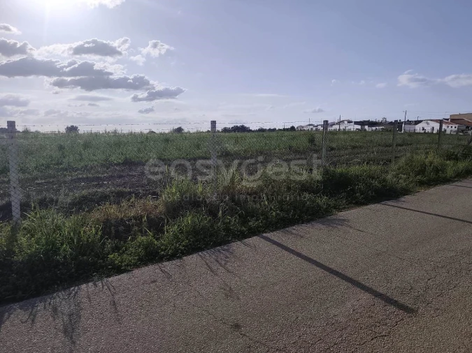 Terreno Agricola ou Rústico para Venda em São João de Negrilhos Foto 3