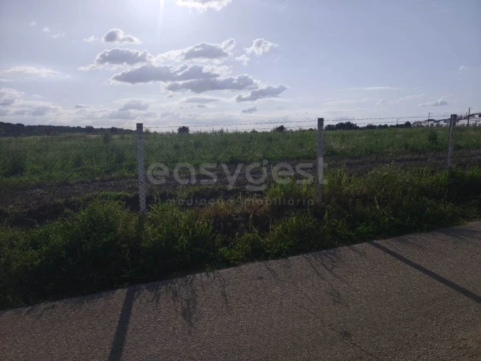 Terreno Agricola ou Rústico para Venda em São João de Negrilhos Foto 4