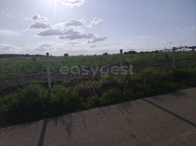 Terreno Agricola ou Rústico para Venda em São João de Negrilhos Foto 5