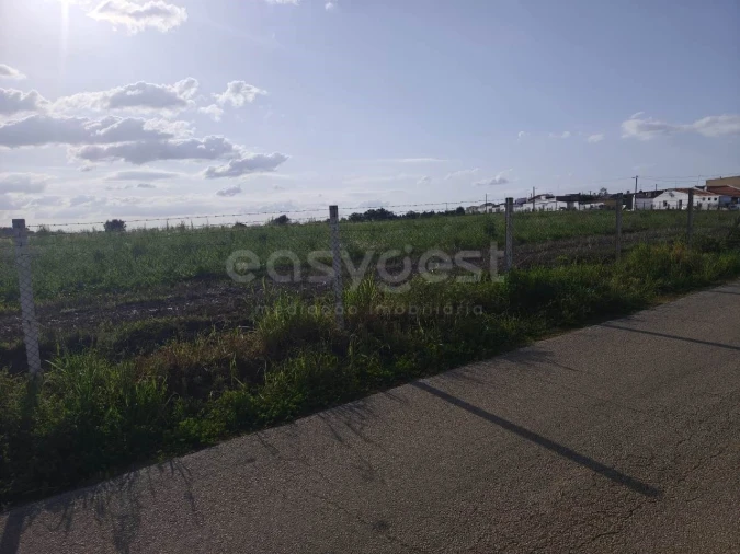 Terreno Agricola ou Rústico para Venda em São João de Negrilhos Foto 7
