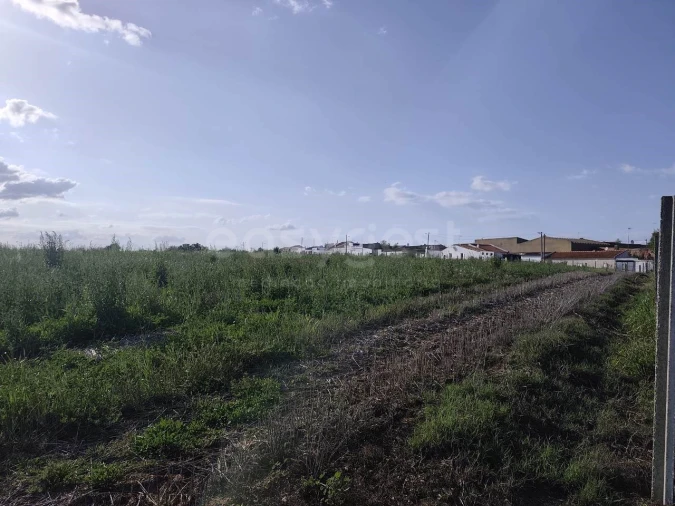 Terreno Agricola ou Rústico para Venda em São João de Negrilhos Foto 8