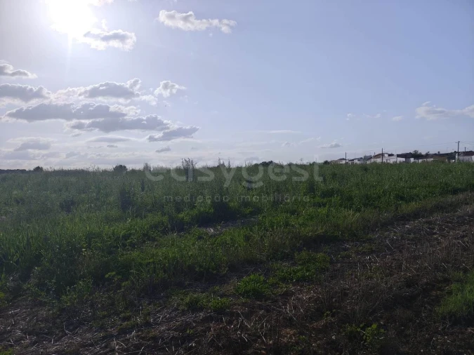 Terreno Agricola ou Rústico para Venda em São João de Negrilhos Foto 9