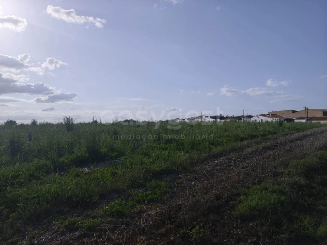 Terreno Agricola ou Rústico para Venda em São João de Negrilhos Foto 10