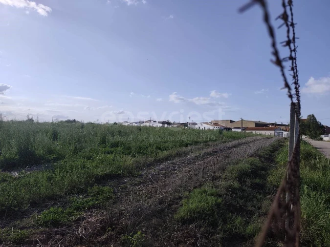 Terreno Agricola ou Rústico para Venda em São João de Negrilhos Foto 11