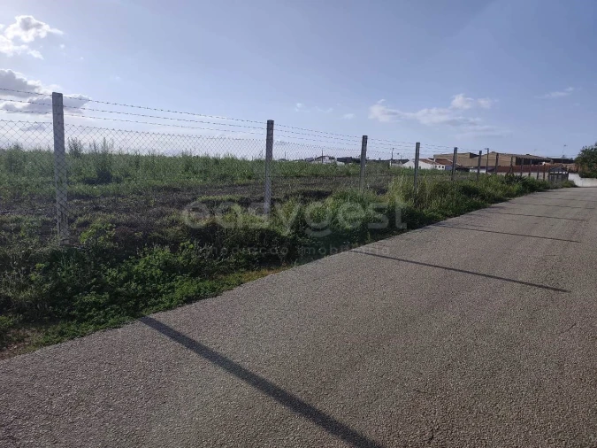 Terreno Agricola ou Rústico para Venda em São João de Negrilhos Foto 14