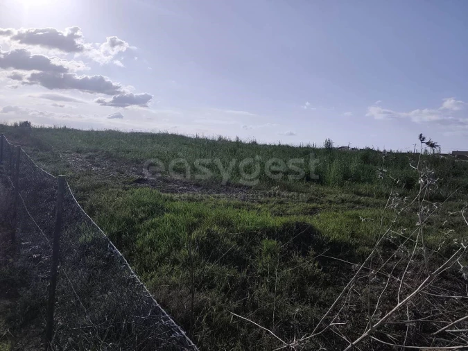 Terreno Agricola ou Rústico para Venda em São João de Negrilhos Foto 15