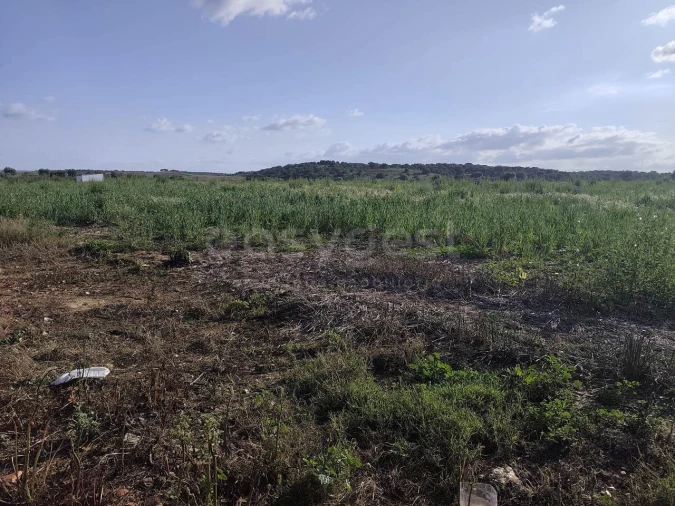 Terreno Agricola ou Rústico para Venda em São João de Negrilhos Foto 18