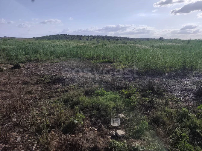 Terreno Agricola ou Rústico para Venda em São João de Negrilhos Foto 20