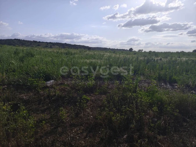 Terreno Agricola ou Rústico para Venda em São João de Negrilhos Foto 21