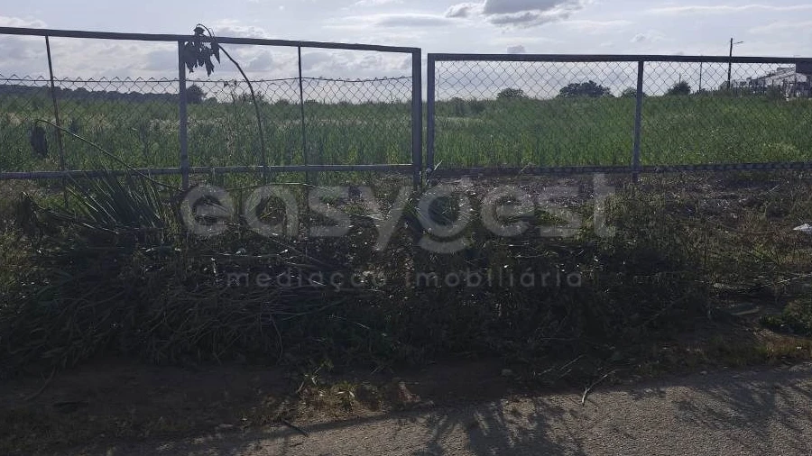 Terreno Agricola ou Rústico para Venda em São João de Negrilhos