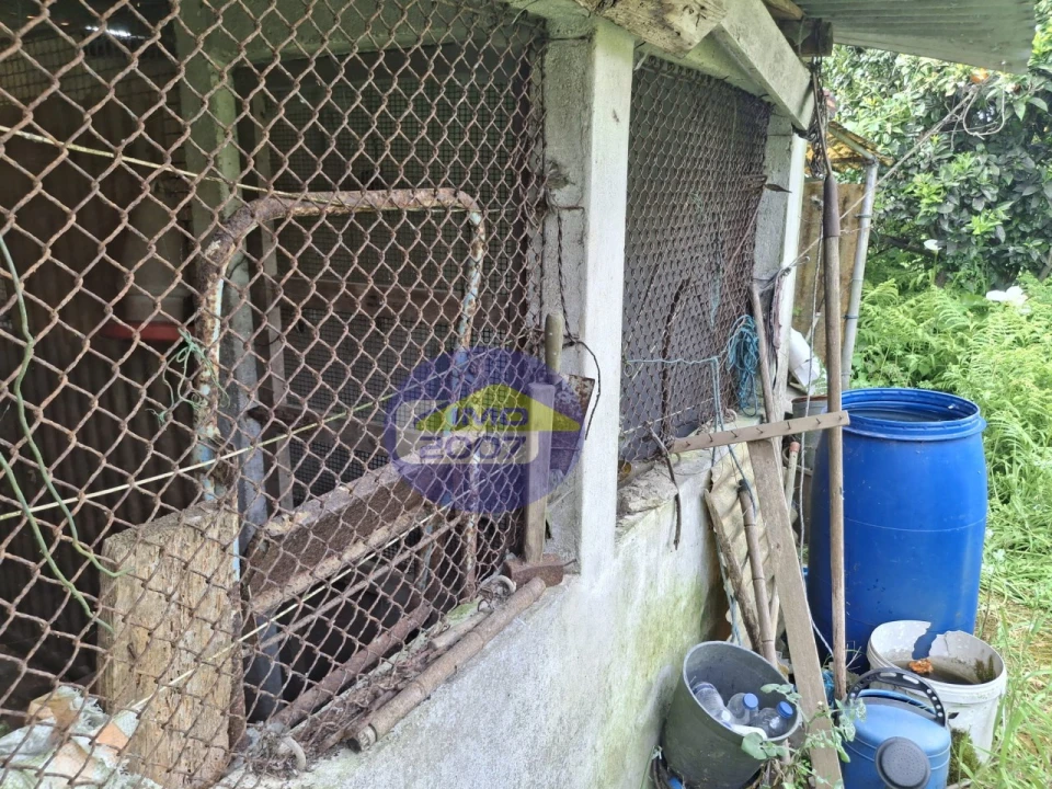 Moradia T3 para Venda em Cortegaça Foto 11