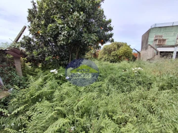 Moradia T3 para Venda em Cortegaça