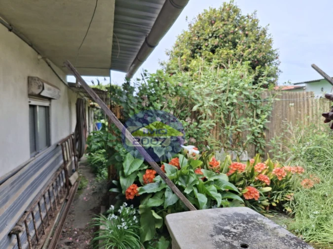 Moradia T3 para Venda em Cortegaça Foto 8