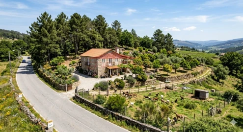 Terreno para Venda em Amarante (São Gonçalo), Madalena, Cepelos e Gatão