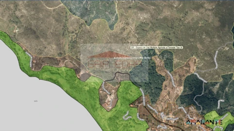 Terreno para Venda em Amarante (São Gonçalo), Madalena, Cepelos e Gatão