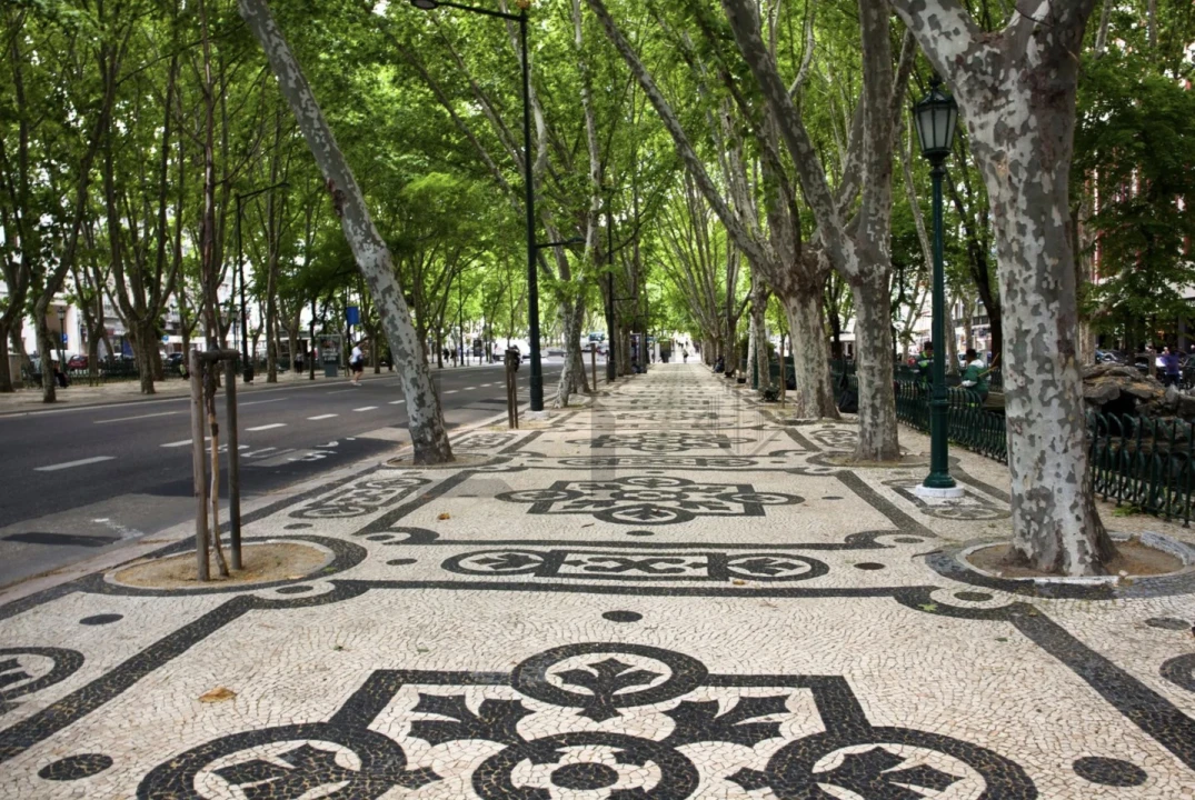 Loja para Arrendamento em Santo António Foto 2