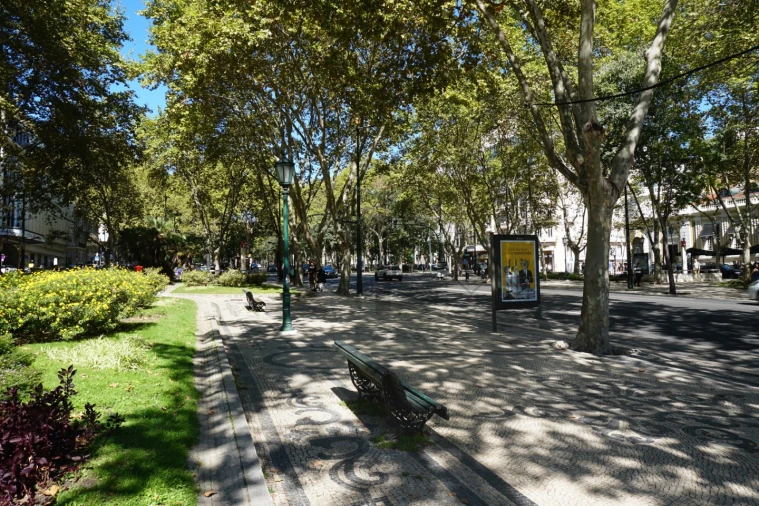 Loja para Arrendamento em Santo António Foto 5