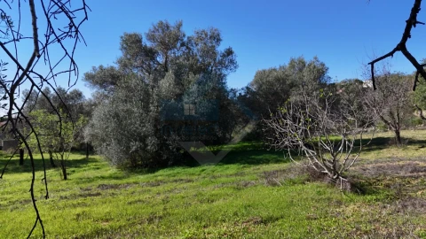 Moradia T2 para Venda em Loule (São Sebastião)