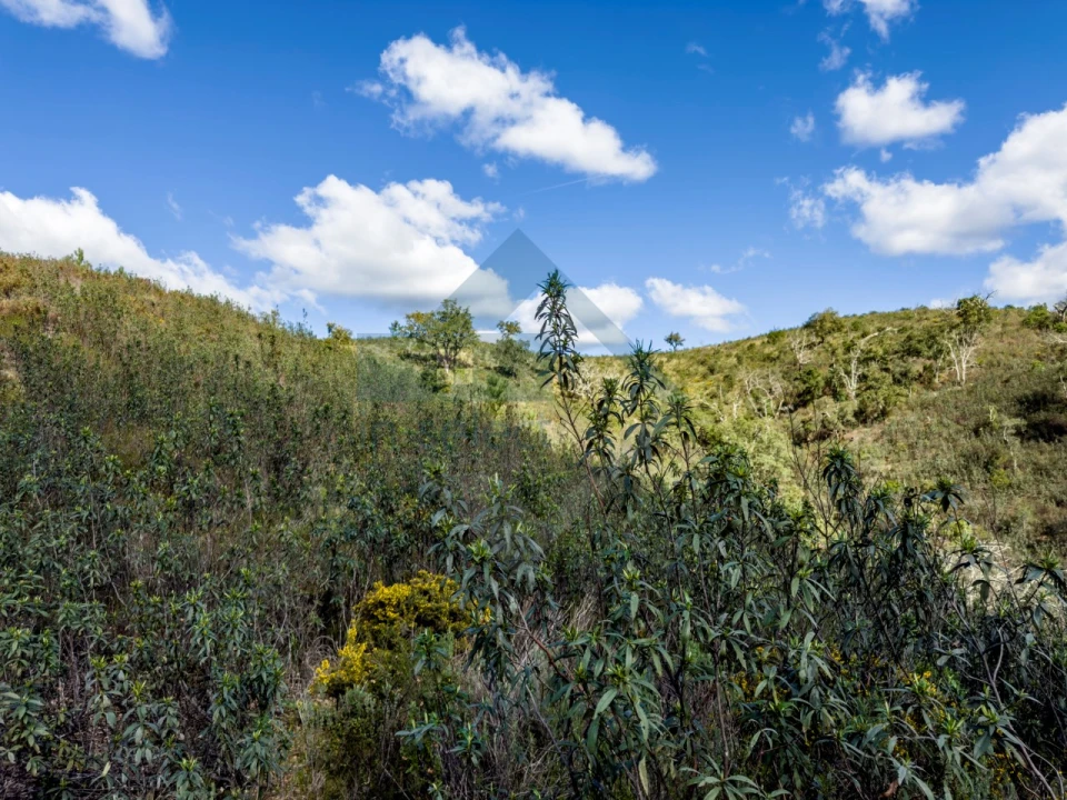 Quinta T4 para Venda em Salir Foto 15