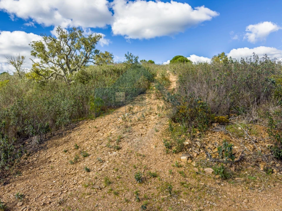 Quinta T4 para Venda em Salir Foto 16