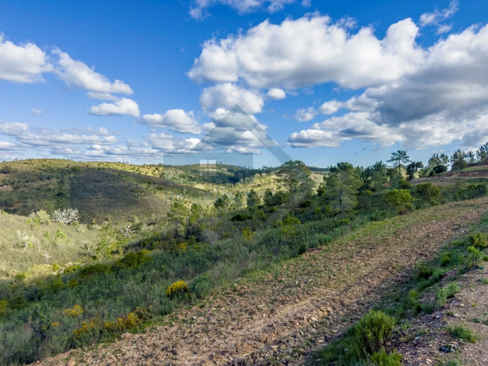 Quinta T4 para Venda em Salir Foto 19